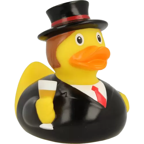 GROOM DUCK
