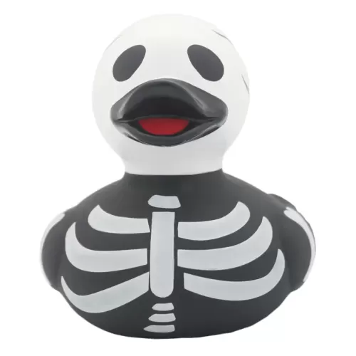 SKELETON DUCK