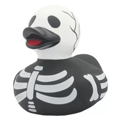 SKELETON DUCK