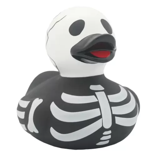 SKELETON DUCK
